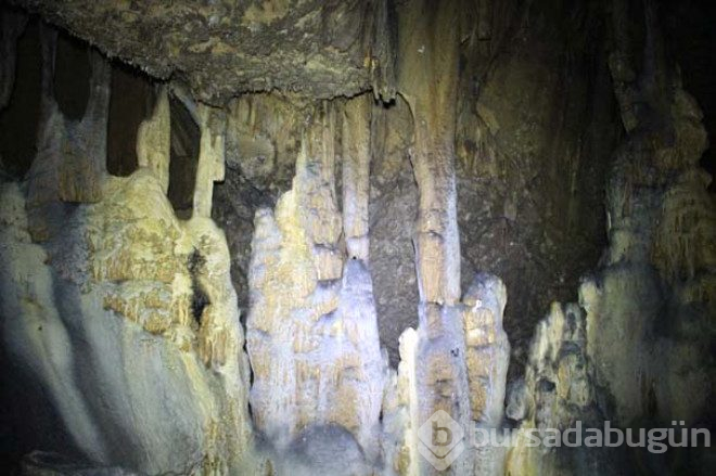 Kivi mağarası ilginç görüntüsü ile sizleri bekliyor 