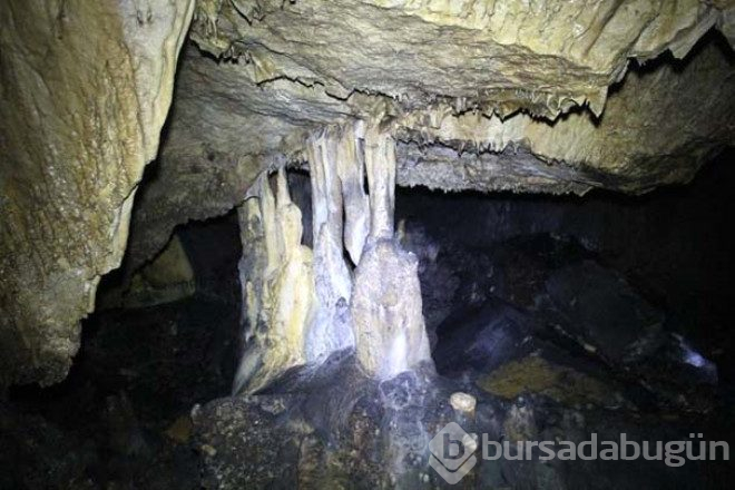 Kivi mağarası ilginç görüntüsü ile sizleri bekliyor 
