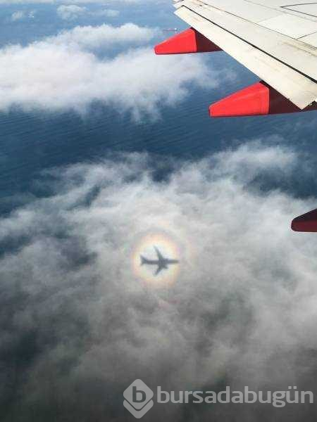 Fotoğraftan daha çok ilgi çeken gölgeler