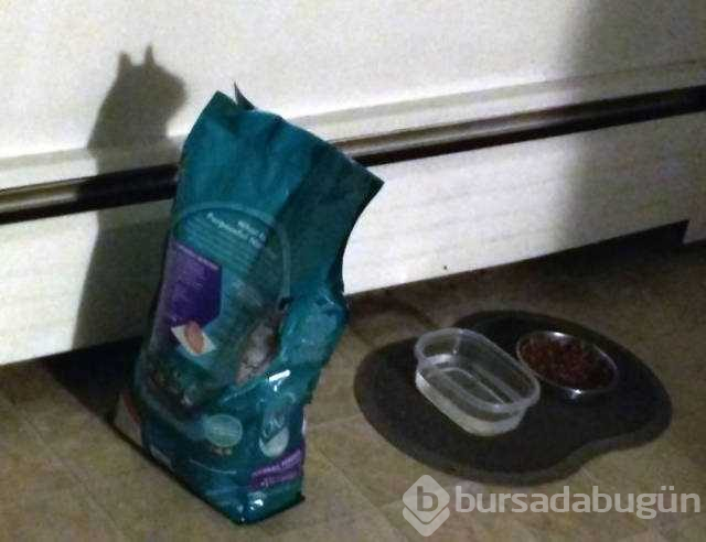 Fotoğraftan daha çok ilgi çeken gölgeler
