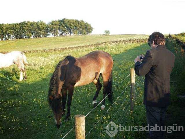 Fotoğraftan daha çok ilgi çeken gölgeler