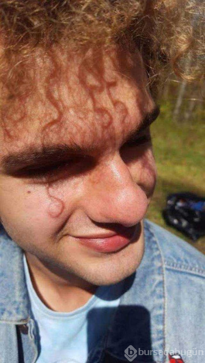 Fotoğraftan daha çok ilgi çeken gölgeler