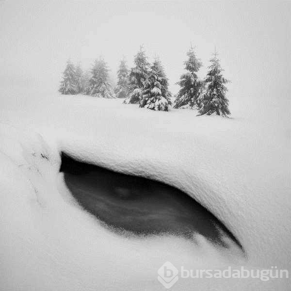 Doğanın en ilginç ve güzel anları