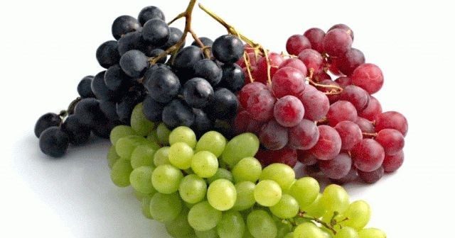 Hangi yaz meyvesinde hangi vitamin var?
