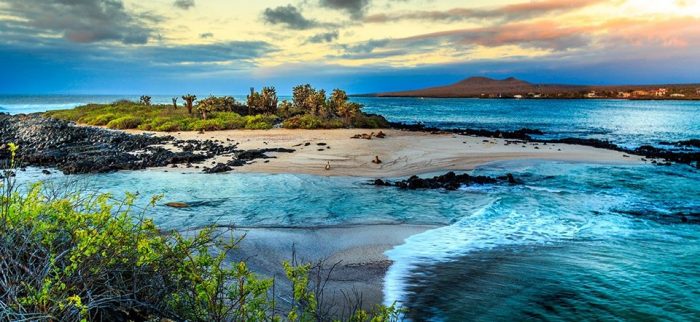 Grace Kelly'nin yatıyla Darwin'in izinde Galapagos Adaları (Balayı tatili önerileri)
