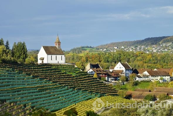 Rheinau köyü halkına 16 bin TL koşulsuz maaş bağlanacak
