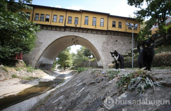 Bursa'nın 576 yıllık sanat köprüsü: Irgandı