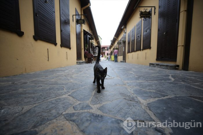 Bursa'nın 576 yıllık sanat köprüsü: Irgandı