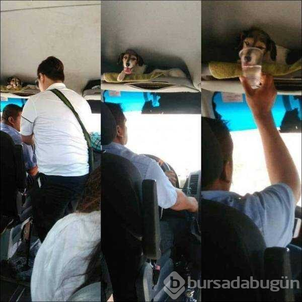 Günün en çok paylaşılan fotoğrafları
