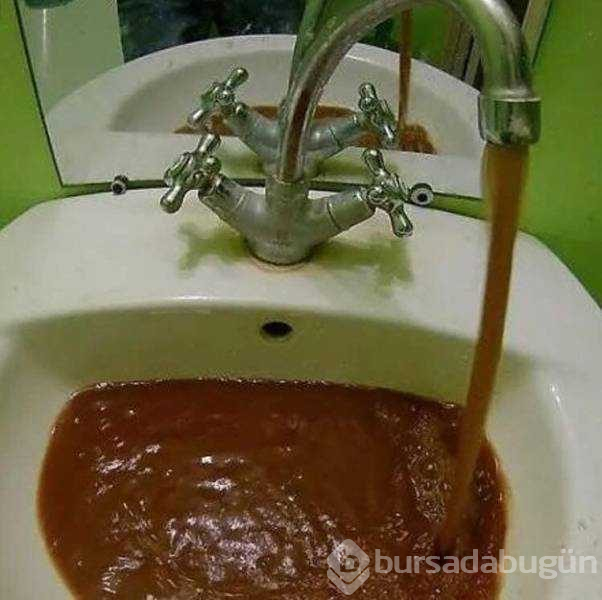 Günün en çok paylaşılan fotoğrafları
