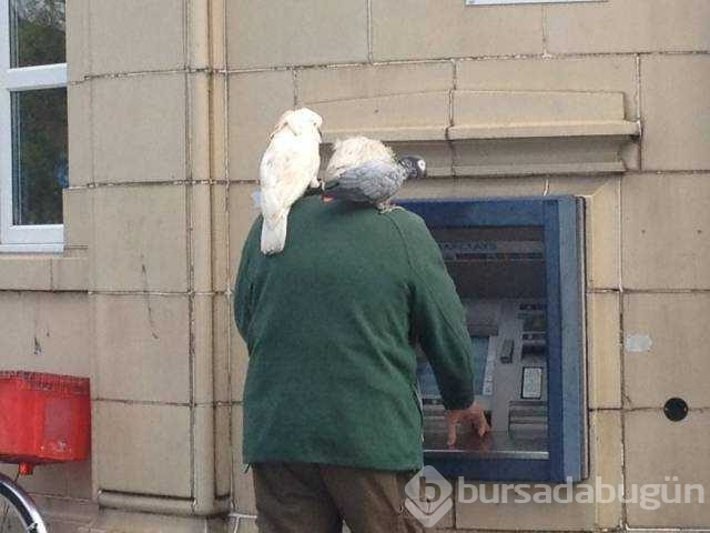 Günün en çok paylaşılan fotoğrafları
