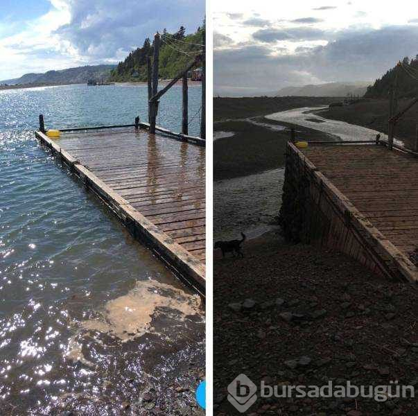 Günün en çok paylaşılan fotoğrafları
