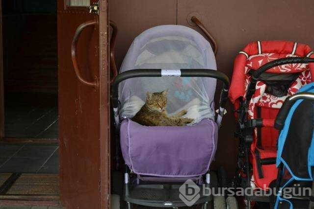 Günün en çok paylaşılan fotoğrafları
