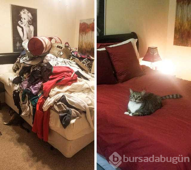 Günün en çok paylaşılan fotoğrafları
