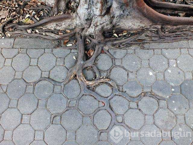 Günün en çok paylaşılan fotoğrafları
