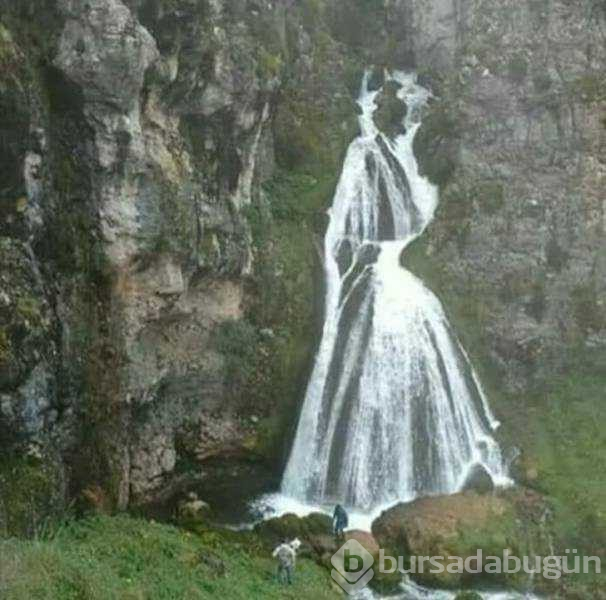 Günün en çok paylaşılan fotoğrafları
