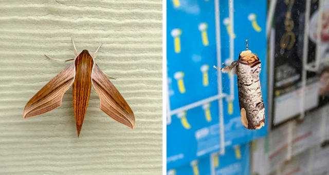 Günün en çok paylaşılan fotoğrafları
