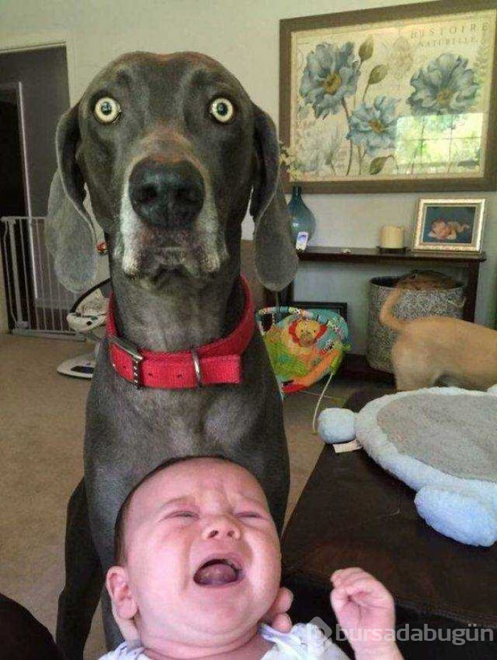 Günün en çok paylaşılan fotoğrafları
