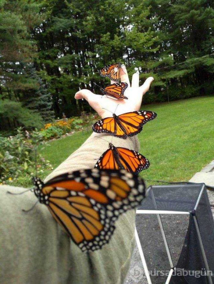 Günün en çok paylaşılan fotoğrafları
