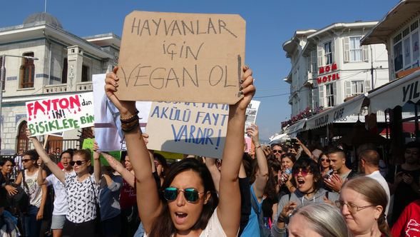 Büyükada'da fayton protestosu
