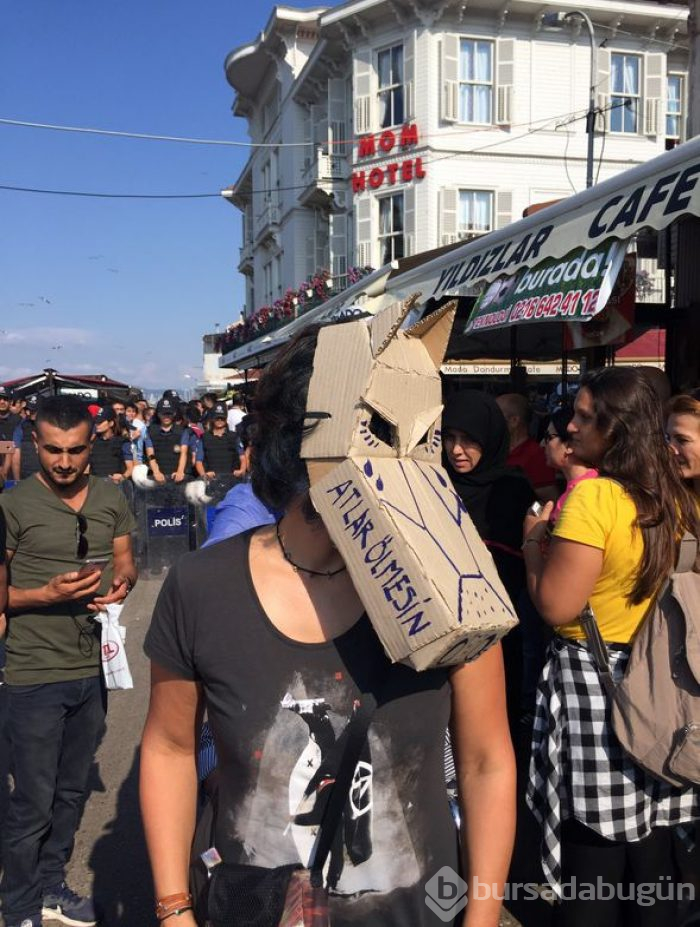Büyükada'da fayton protestosu
