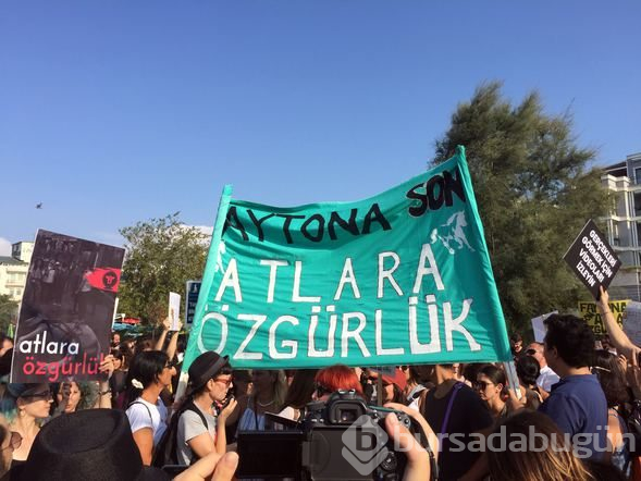 Büyükada'da fayton protestosu
