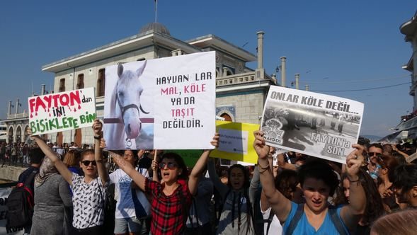 Büyükada'da fayton protestosu
