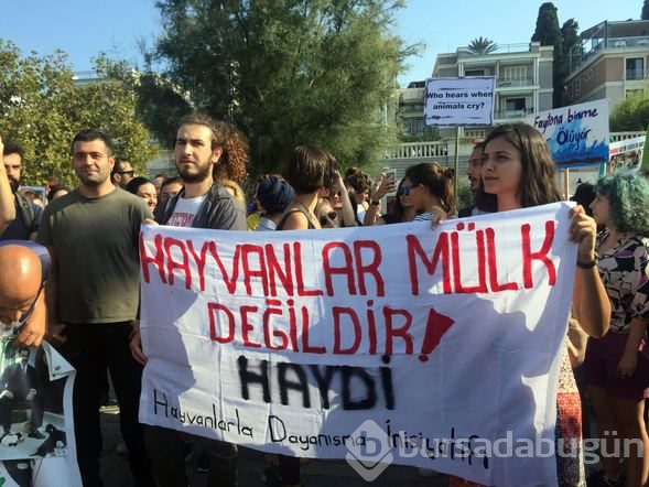 Büyükada'da fayton protestosu
