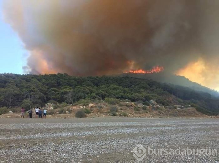 Antalya'da orman yangını