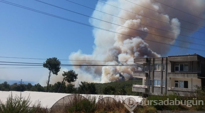 Antalya'da orman yangını