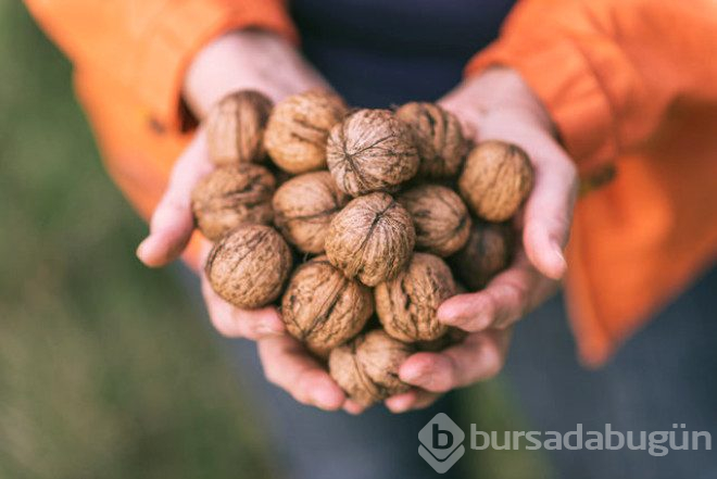 Çoğumuzun hem sağlığı hem de başarımız için dikkat etmemiz gereken 8 kural
