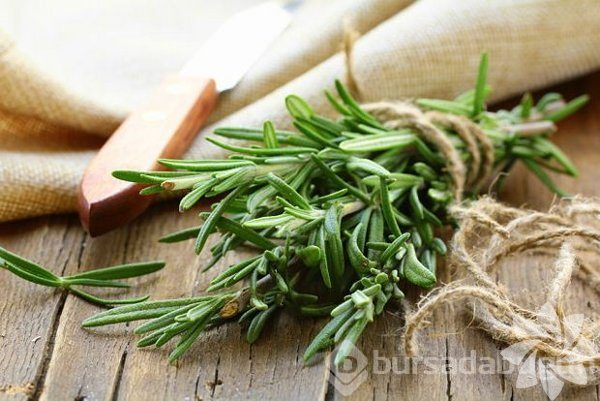 Göbek yağlarını eriten 10 baharat