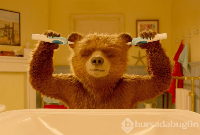 Ayı Paddington 2