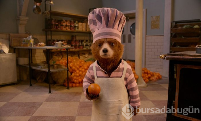 Ayı Paddington 2