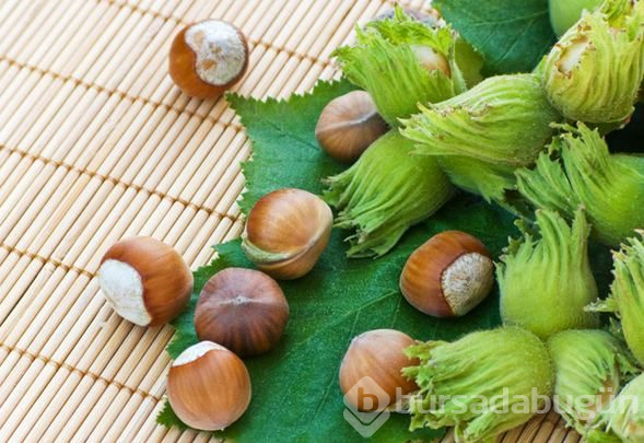 Çiğ fındığın sağlığa 10 faydası
