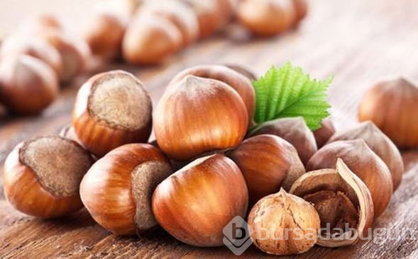 Çiğ fındığın sağlığa 10 faydası
