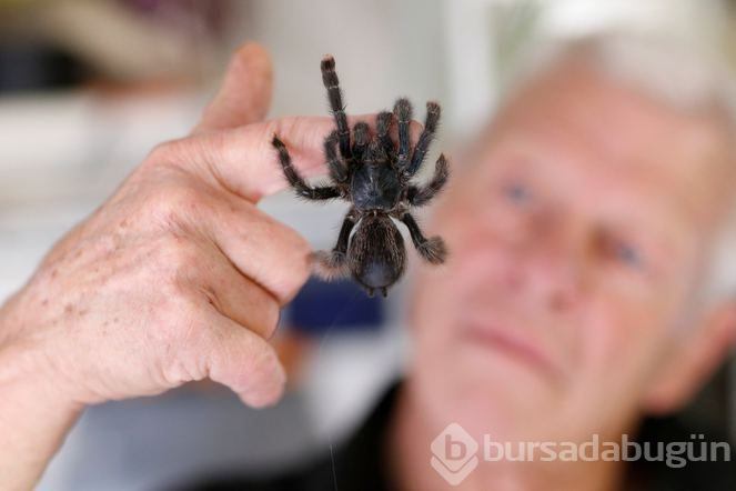 Evinde 400 sürüngenle birlikte yaşıyor!

