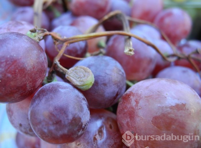 Sicilya'nın tarih kokan sokaklarında lezzet turu