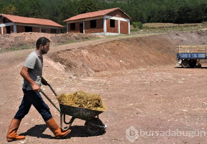 AVM yöneticisi köyünde hayvancılığa başladı!
