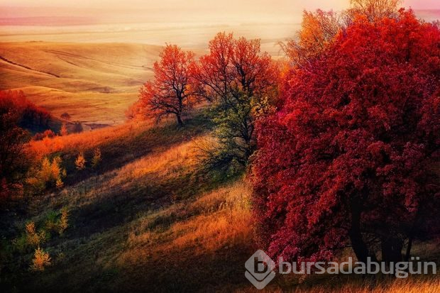 Sonbaharın en yakıştığı 15 ülke
