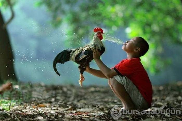 Tam zamanında çekilmiş fotoğraflar...