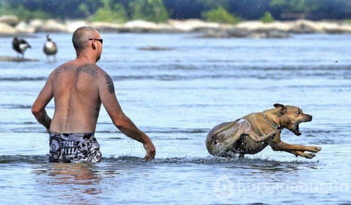 Tam zamanında çekilmiş fotoğraflar...