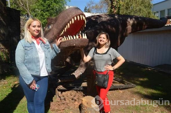 Melih Gökçek'in Ankapark için aldığı dinozorlar Trabzon'da

