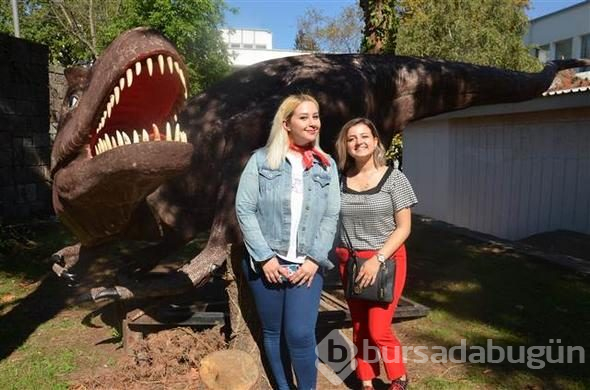 Melih Gökçek'in Ankapark için aldığı dinozorlar Trabzon'da
