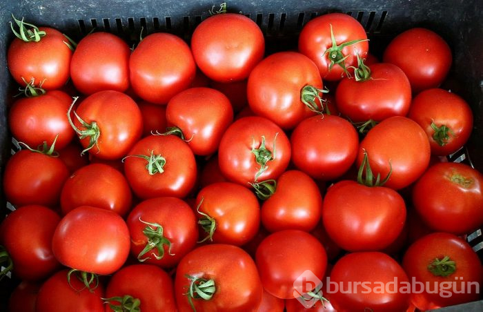 Ne kadar yerseniz yiyin kilo aldırmayan 14 yiyecek
