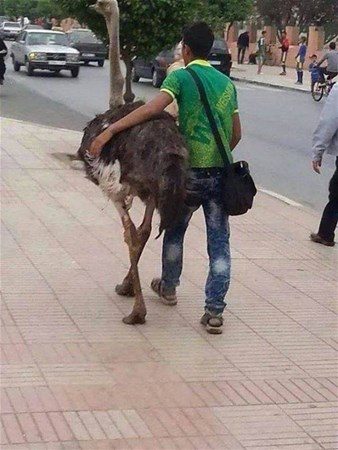 Anlamsız fotoğraflar
