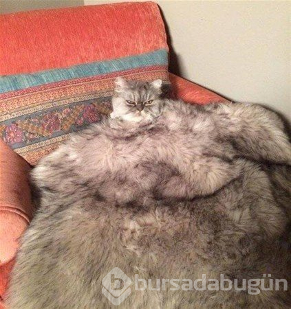 Anlamsız fotoğraflar
