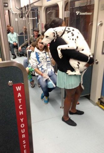 Metronun en garip insanları
