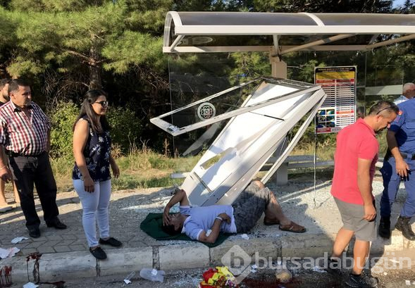 Safari cipi devrildi can pazarı yaşandı
