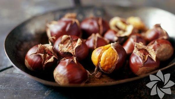 Sonbaharın gelişini kutlamak için 12 neden
